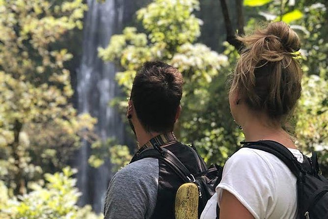 Waterfall & Coffee Walking Tour - Why this day works for an Arusha stay