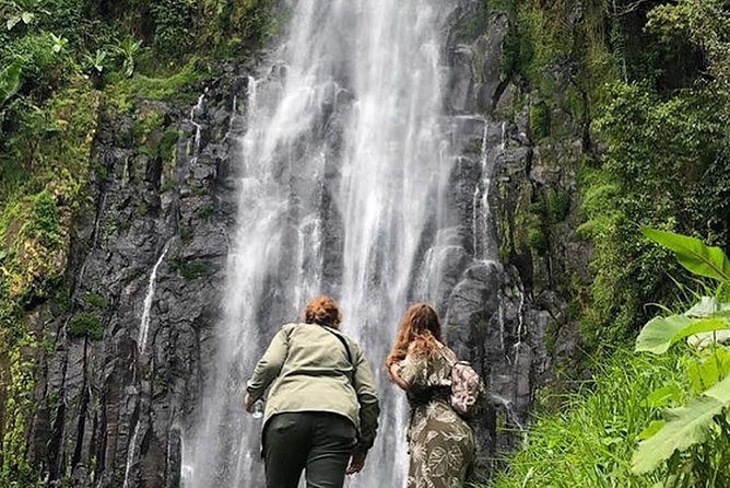 Waterfall & Coffee Walking Tour - Who will get the most from this tour