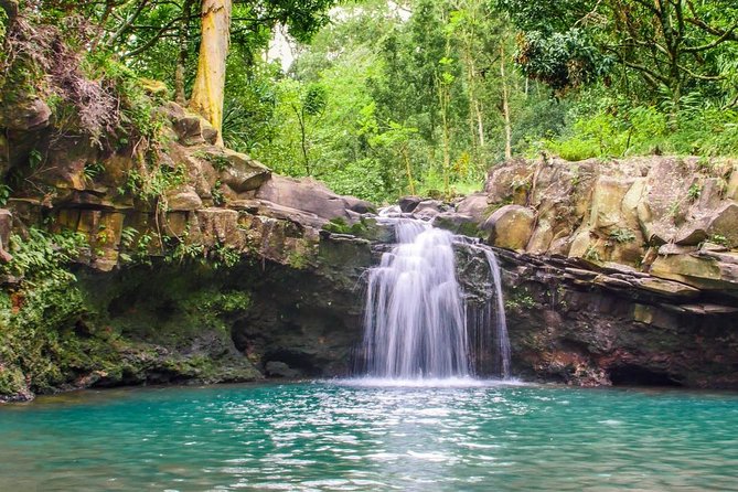 Waterfall & Rainforest Hiking Adventure with Hotel Pickup - Lunch, Snacks, and Time to Slow Down