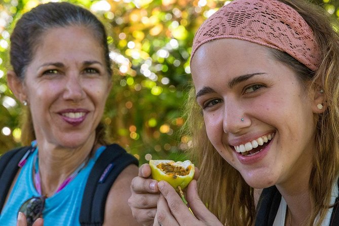 Waterfall & Rainforest Hiking Adventure with Hotel Pickup - What the $229.32 Price Buys You
