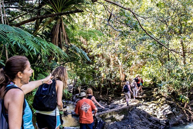 Waterfall & Rainforest Hiking Adventure with Hotel Pickup - Who Will Enjoy This Hike Most