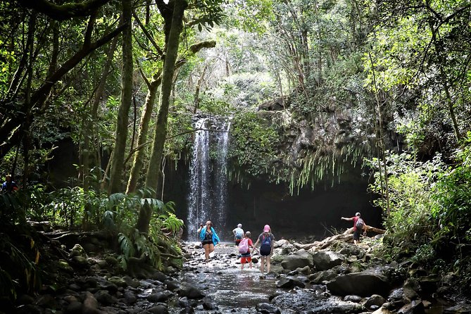 Waterfall & Rainforest Hiking Adventure with Hotel Pickup - Entering East Maui’s Rainforest