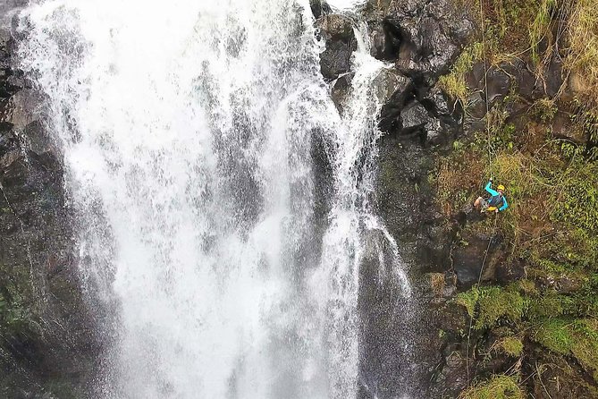 Waterfall Rappelling at Kulaniapia Falls: 120 Foot Drop, 15 Minutes from Hilo - Key points to know before you book