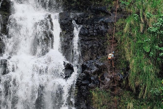 Waterfall Rappelling at Kulaniapia Falls: 120 Foot Drop, 15 Minutes from Hilo - The main event: lowering beside Kulaniapia Falls