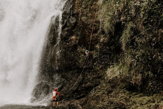 Waterfall Rappelling at Kulaniapia Falls: 120 Foot Drop, 15 Minutes from Hilo - Price, gratuity, and overall value