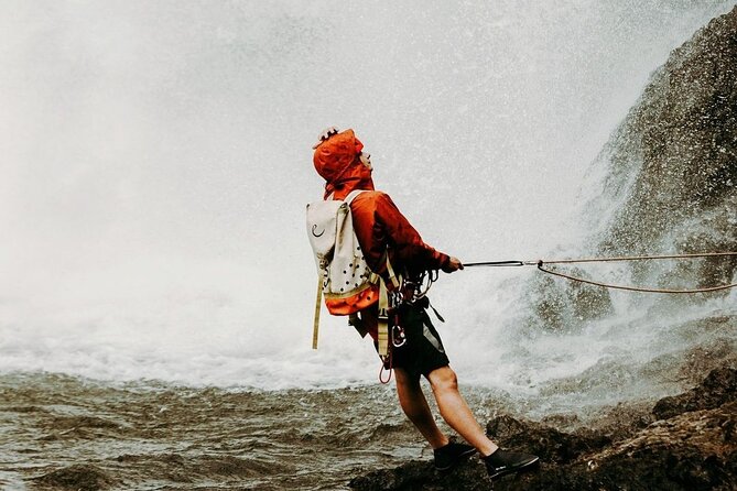 Waterfall Rappelling at Kulaniapia Falls: 120 Foot Drop, 15 Minutes from Hilo - Who will enjoy this most