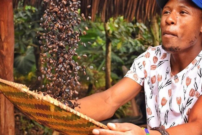 Waterfalls, Coffee, Hotsprings, Food Cuisine, & Serval Wildlife - Key things to know before you book