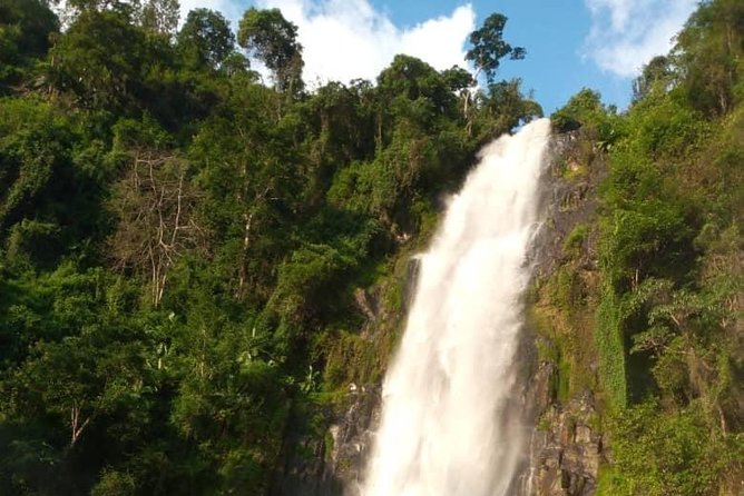 Waterfalls, Coffee, Hotsprings, Food Cuisine, & Serval Wildlife - Materuni Waterfalls: the day’s strongest natural stop