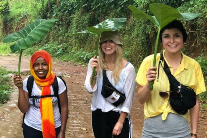 Waterfalls, Coffee, Hotsprings, Food Cuisine, & Serval Wildlife - What the $350 price really covers