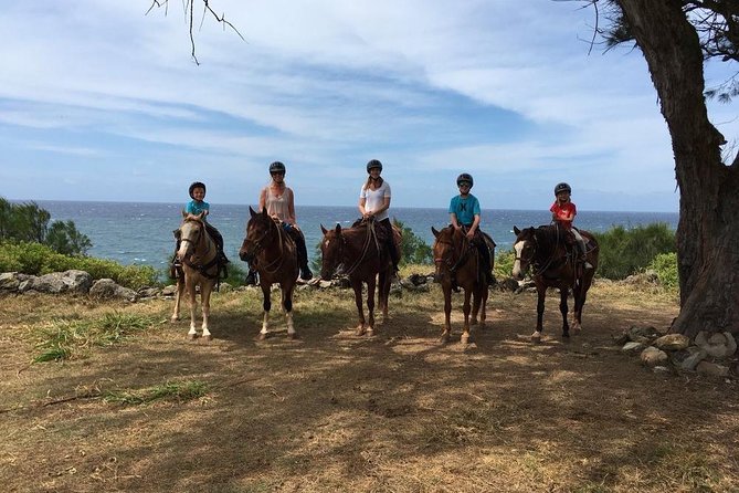 West Maui Mountain Waterfall and Ocean Tour via Horseback - Cantering and galloping when conditions allow
