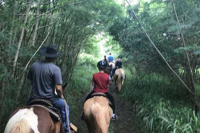 West Maui Mountain Waterfall and Ocean Tour via Horseback - The petting zoo is more than a quick add-on