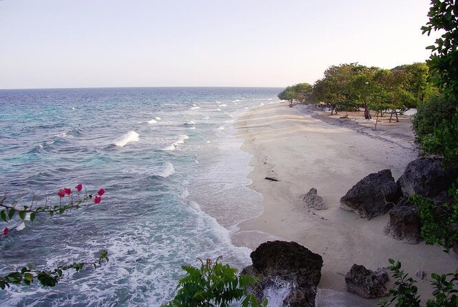 Whale Shark Encounter and Sumilon Sandbar with Kawasan Falls - Key points to know before booking