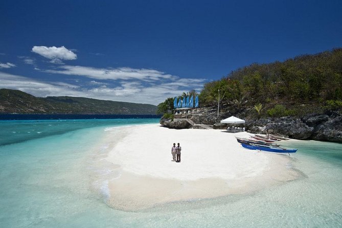 Whale Shark Encounter and Sumilon Sandbar with Kawasan Falls - Oslob whale sharks, the unforgettable and difficult first stop