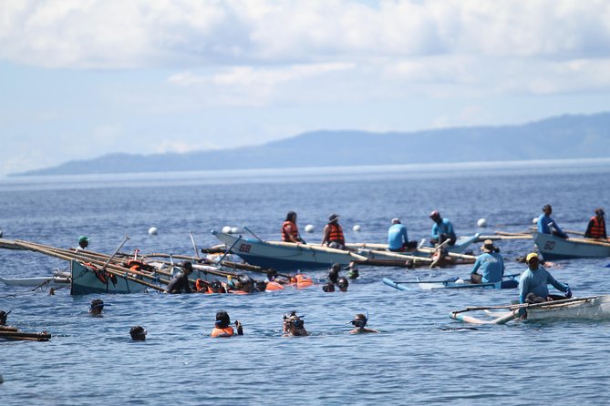 Whale Shark Swimming Experience and Aguinid Falls from Cebu - The 4:00 a.m. Pickup and South Cebu Drive