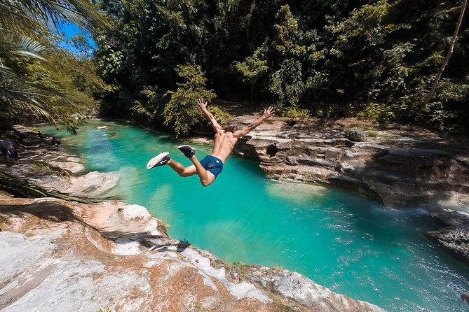 Whale Shark Watching & Tumalog Falls & Kawasan Falls - Oslob whale sharks: the day’s main event