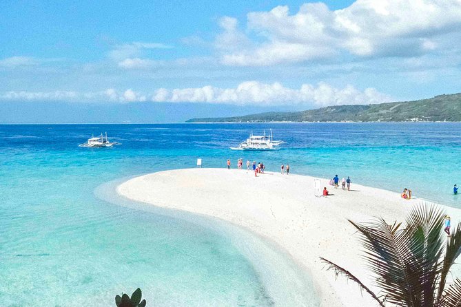 Whale Shark Watching with Sumilon Sandbar and Kawasan Falls Tour - Tumalog Falls and the P50 choice