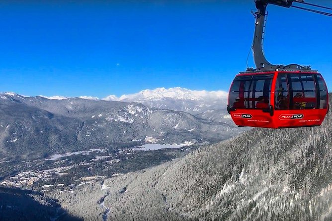 Whistler Sightseeing Tour from Vancouver: See Horseshoe Bay and Shannon Falls - Shannon Falls and a short forest walk