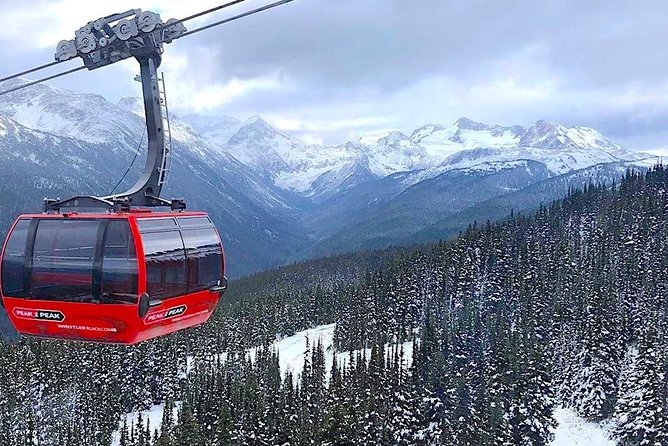 Whistler Sightseeing Tour from Vancouver: See Horseshoe Bay and Shannon Falls - Vancouver views, Stanley Park, and the Lions Gate Bridge