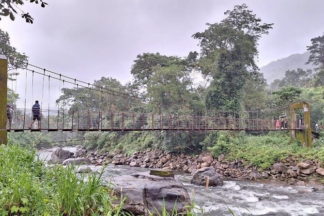 Wild Elephant Anakulam & Waterfalls Tour(munnar valley Trekking) - Why this Munnar day trip is worth considering