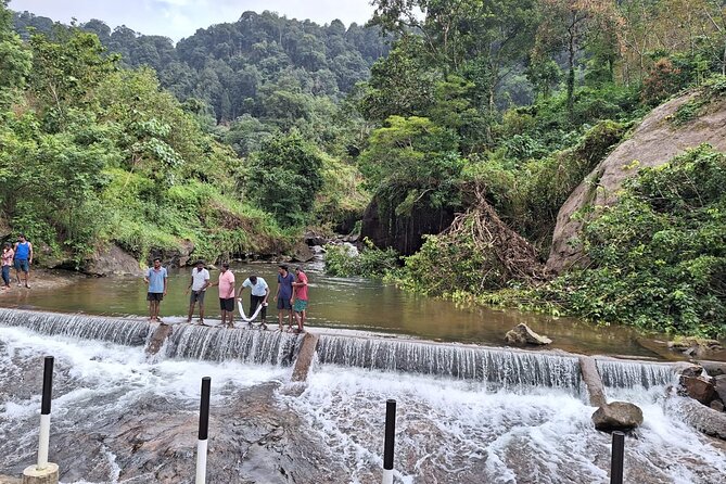 Wild Elephant Anakulam & Waterfalls Tour(munnar valley Trekking) - Perumbankuthu and Mankulam’s old bridge