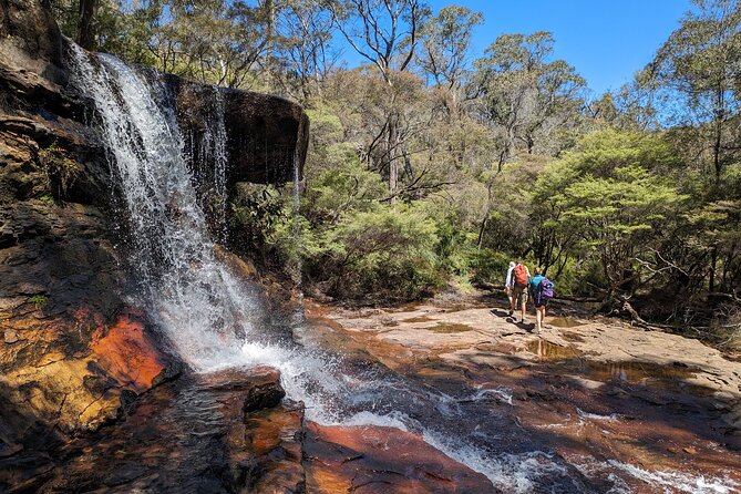Wilderness, Waterfalls, Three Sisters BLUE MOUNTAINS PRIVATE TOUR - Wentworth Falls offers the best walking choice