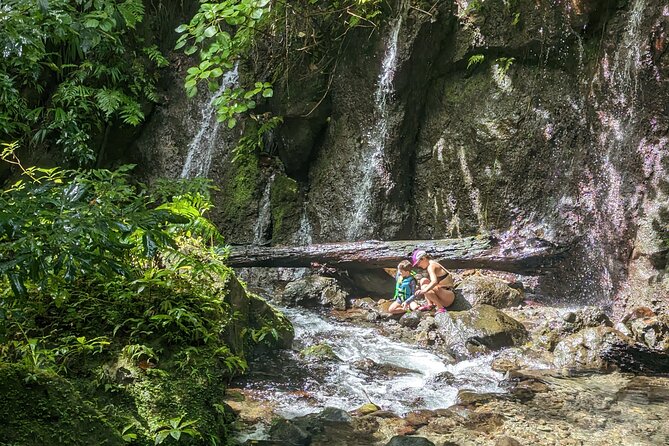 Wildlife Hike Middleham Falls - What makes the guide-led approach worthwhile