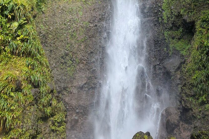 Wildlife Hike Middleham Falls - Why the six-person limit matters