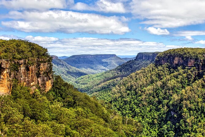 Wildlife, Waterfalls and Wine Day Tour from Sydney - Lunch beside the beach