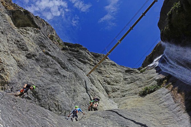Wildwire Wanaka- Level 2 (4 Hours) - Who should book this climb?