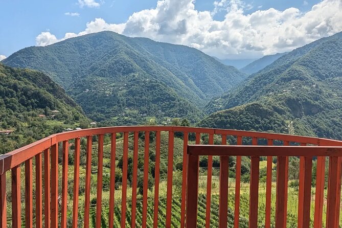 Wine and Dine Tour To Batumi Waterfalls - Mountainous Adjara - Shervashidze Wine Cellar: the long stop that makes the tour worthwhile