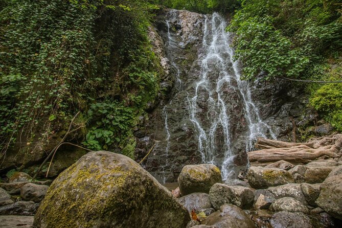 Wine and Dine Tour To Batumi Waterfalls - Mountainous Adjara - Who should book this Batumi day trip?