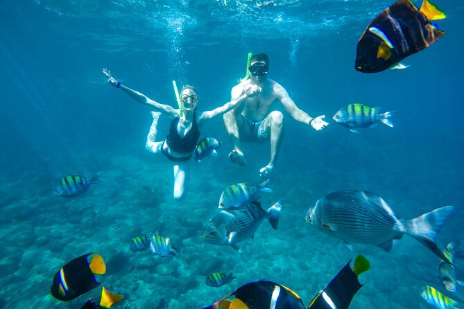 Yelapa Waterfall, BBQ at Exclusive Majahuitas Beach & Open bar - Snorkeling in Banderas Bay