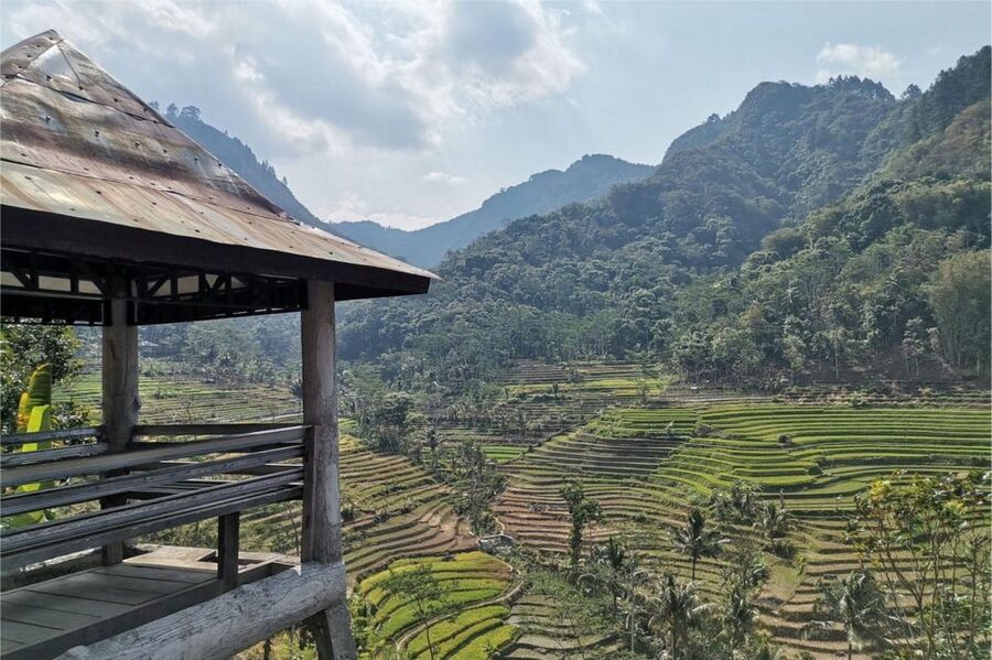 Yogyakarta: Selogriyo Temple, Rice Terraces & Waterfall Tour - What the guide adds to the day