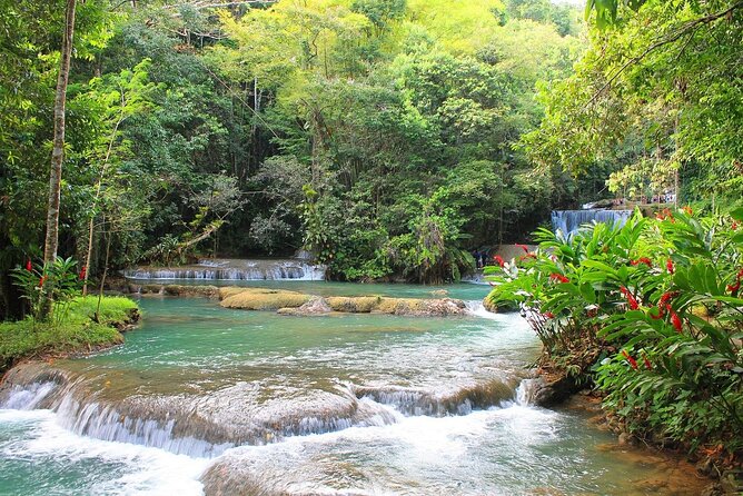 YS Falls and Black River Safari South Coast from Negril Jamaica - Key Points Before You Book