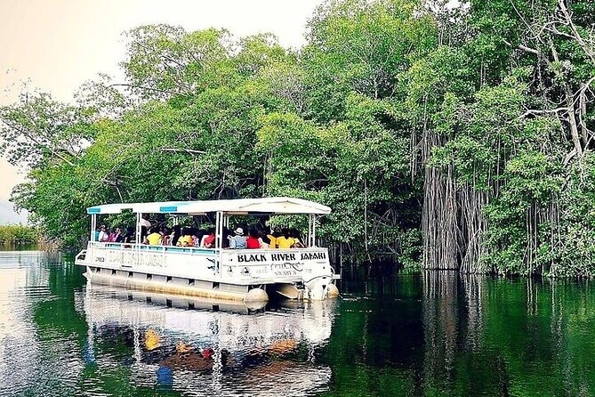 YS Falls and Black River Safari South Coast from Negril Jamaica - Booking and Cancellation Details