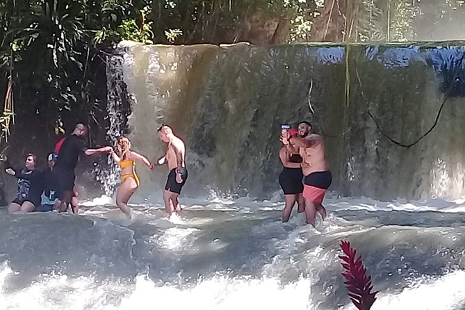 YS Falls & Pelican Bar Tour - Key points to know before you book