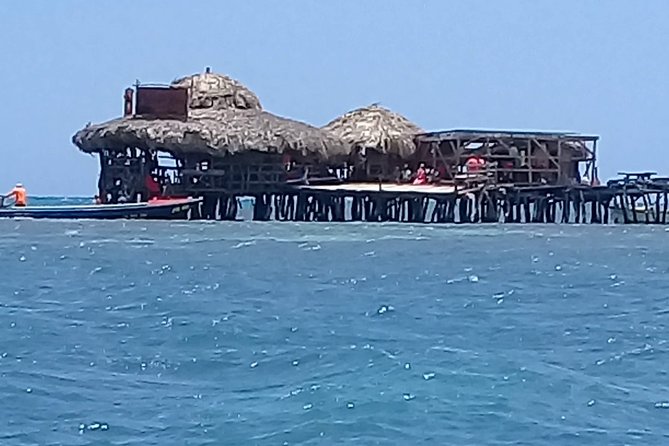 YS Falls & Pelican Bar Tour - Why the guide can make or break the day