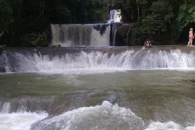YS Falls & Pelican Bar Tour - Private touring, families, and small groups