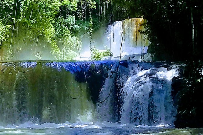 YS Falls & Pelican Bar Tour - Who should book this experience
