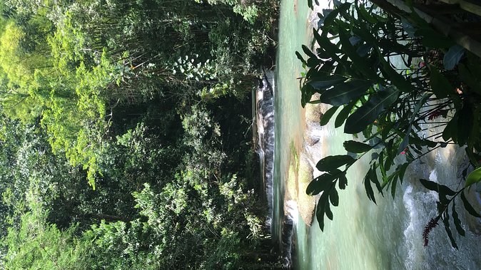 YS Falls Private Full-Day Adventure Tour with Pickup - The zipline from the falls to the base