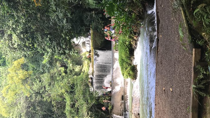 YS Falls Private Full-Day Adventure Tour with Pickup - Seven waterfalls and several natural pools