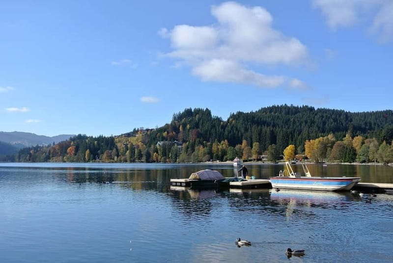 Zürich/Lucerne: Rhine Falls, Titisee & Black Forest Day Trip - Key points before you book