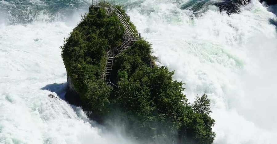 Zürich/Lucerne: Rhine Falls, Titisee & Black Forest Day Trip - The schedule is full, so set your priorities early